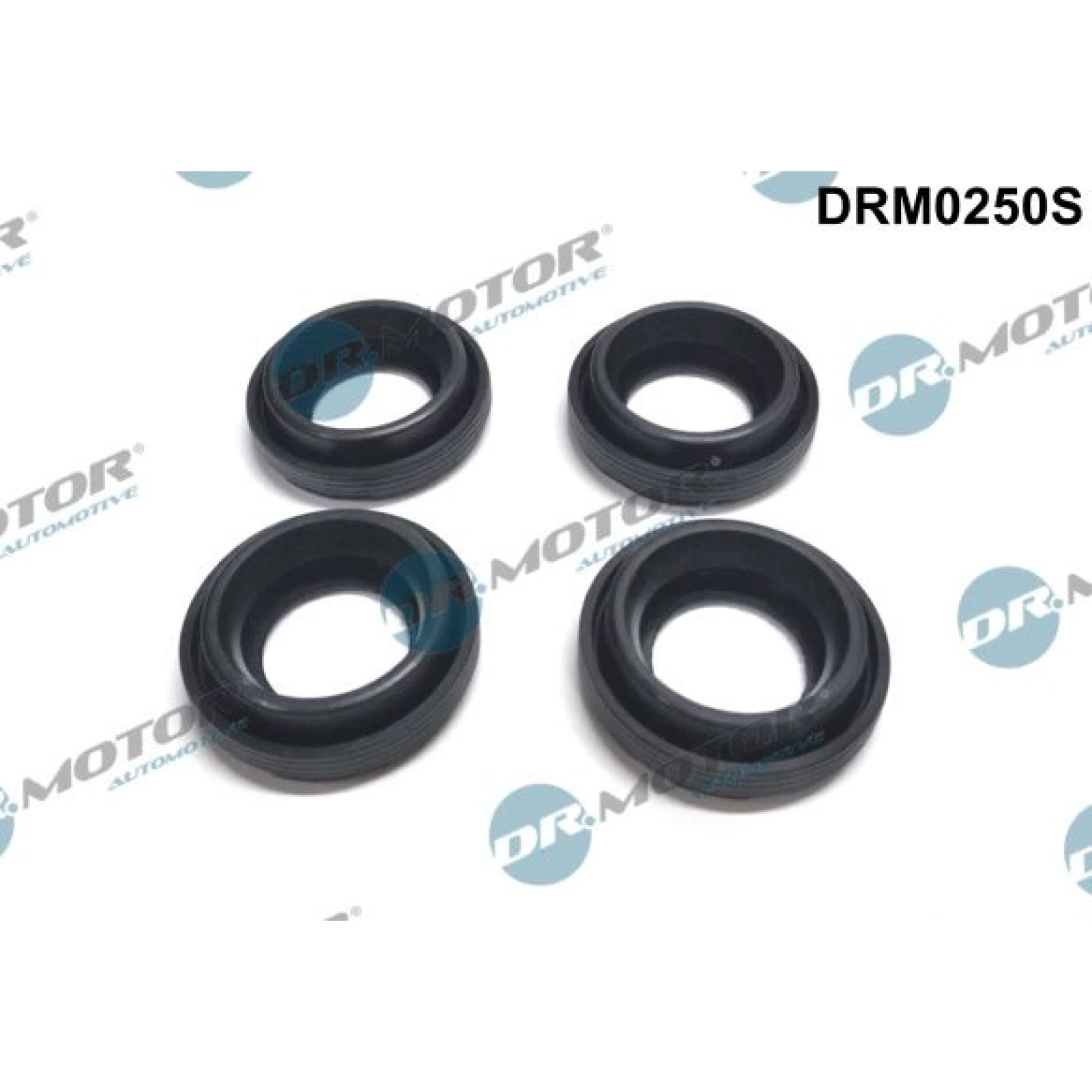 DR.MOTOR Dichtungssatz Einspritzdüse DRM0250S