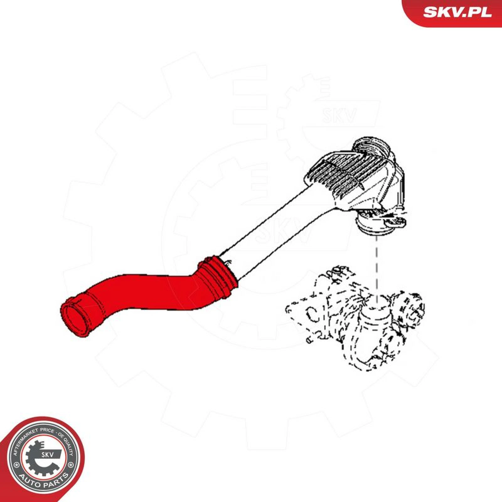 SKV GERMANY Luftschlauch 24SKV862