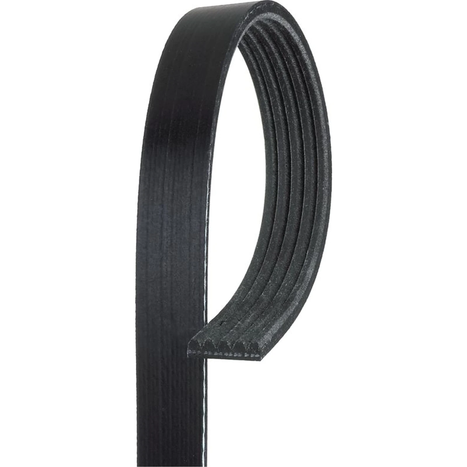 Micro-V Riemen 5PK1095