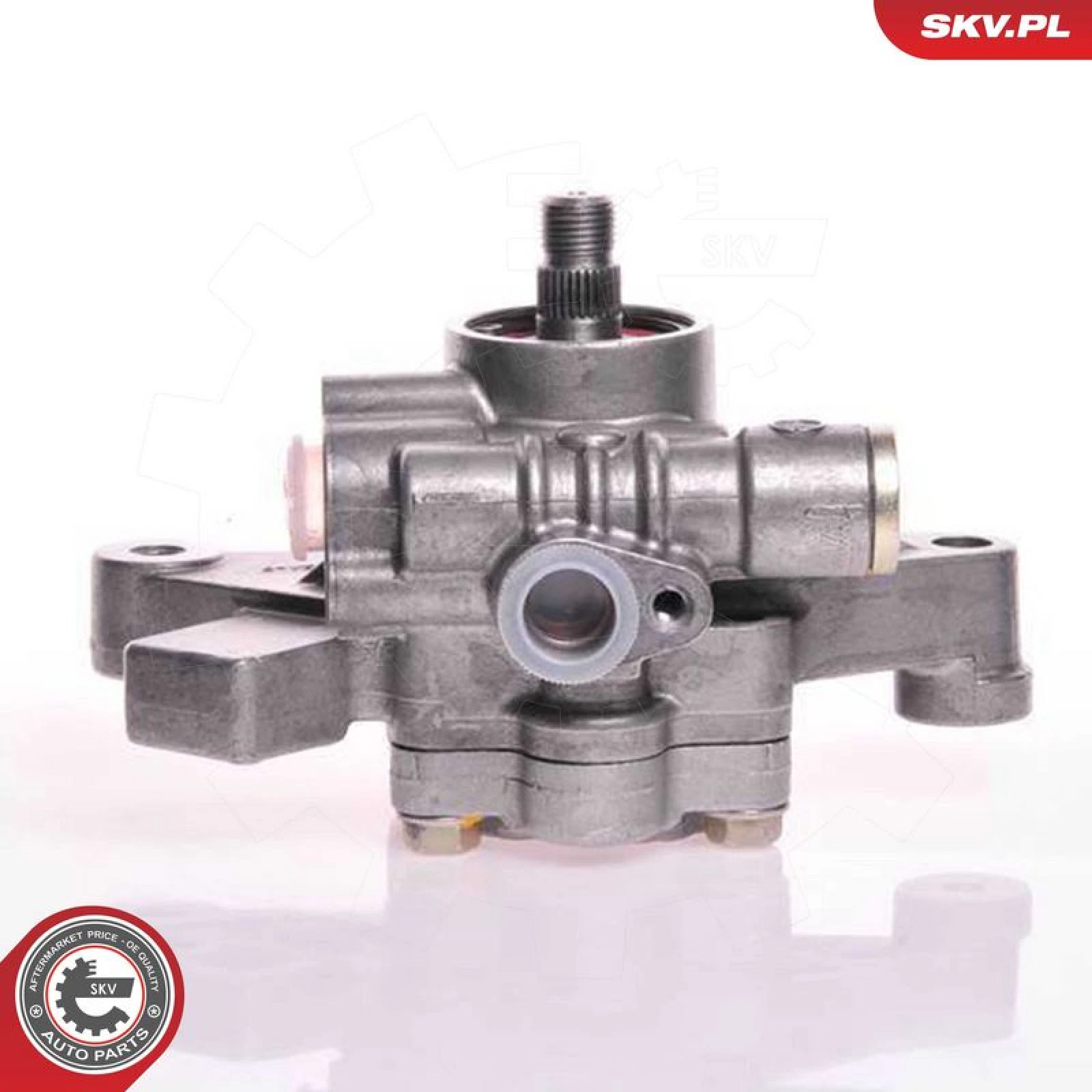 SKV GERMANY Hydraulikpumpe 10SKV103