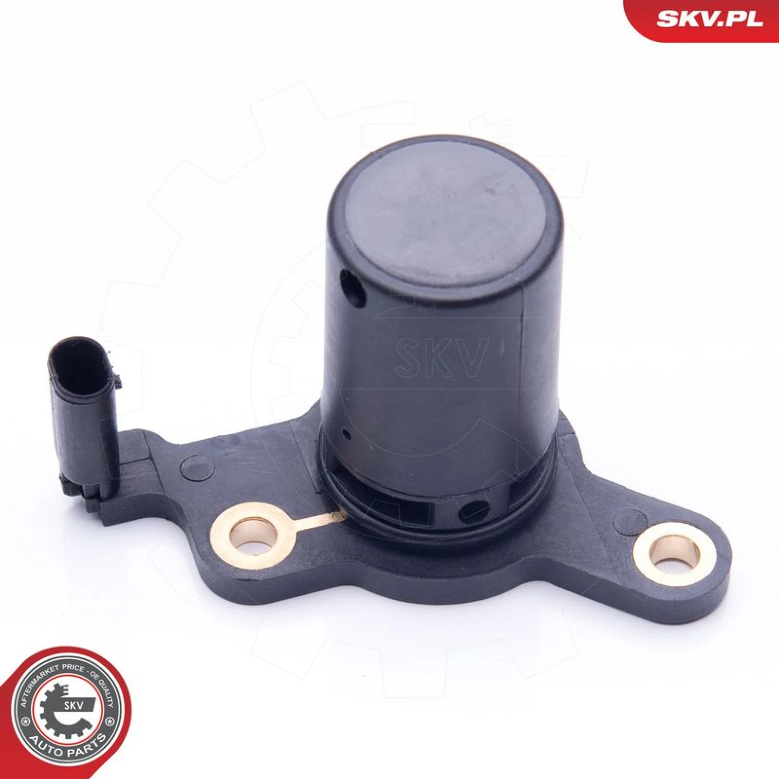 SKV GERMANY Sensor 17SKV397