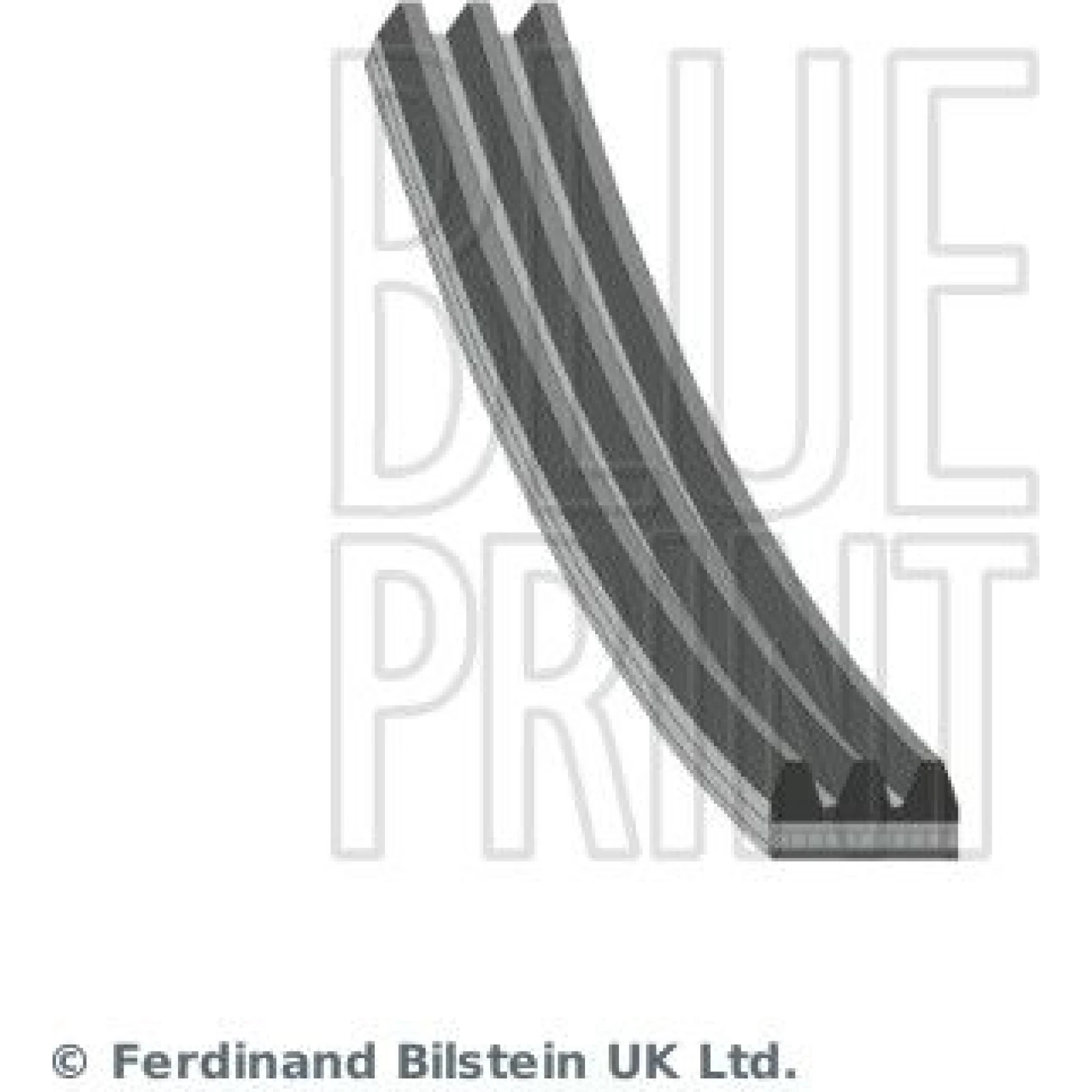 BluePrint Rillenriemen AD03R668