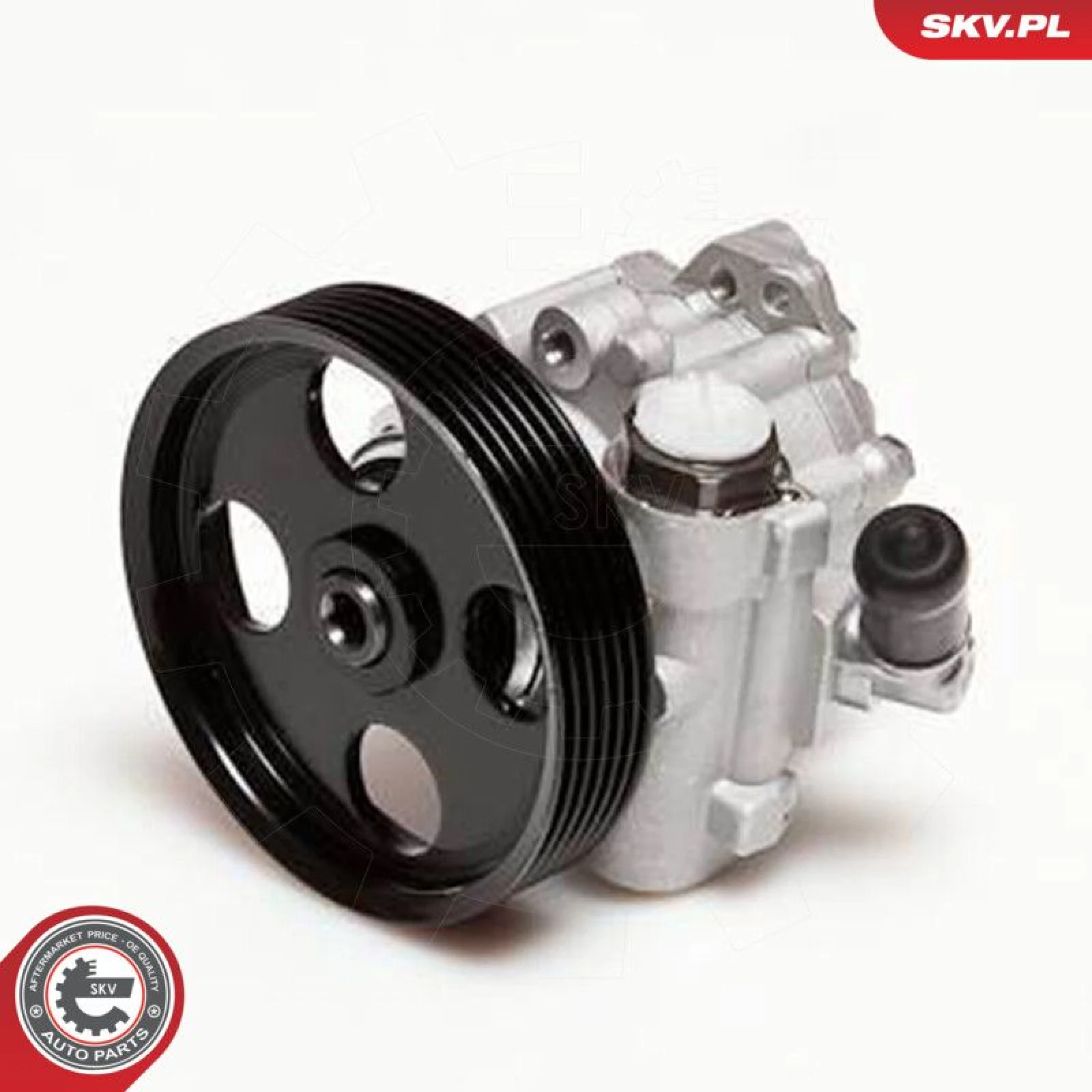 SKV GERMANY Hydraulikpumpe 10SKV098