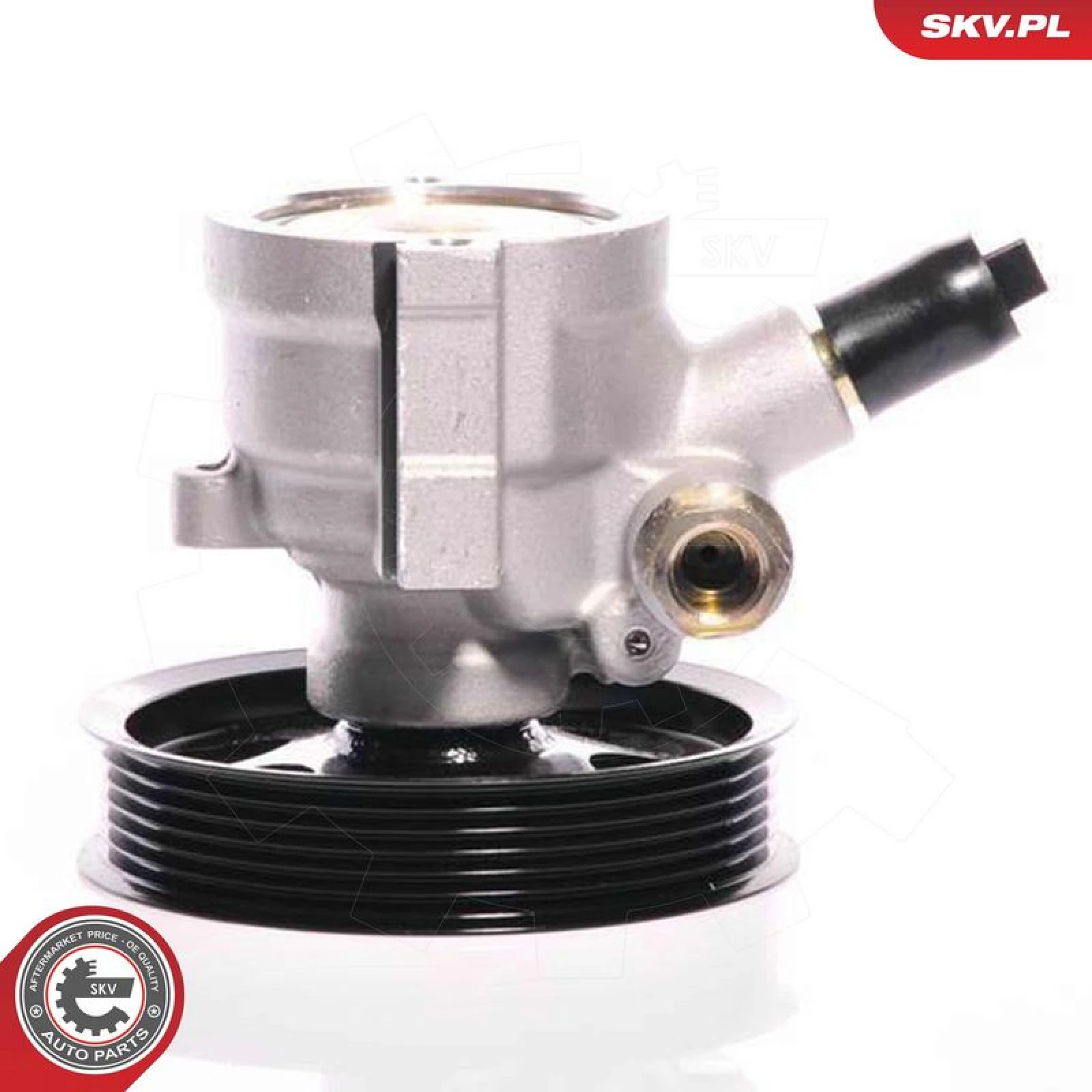 SKV GERMANY Hydraulikpumpe 10SKV108