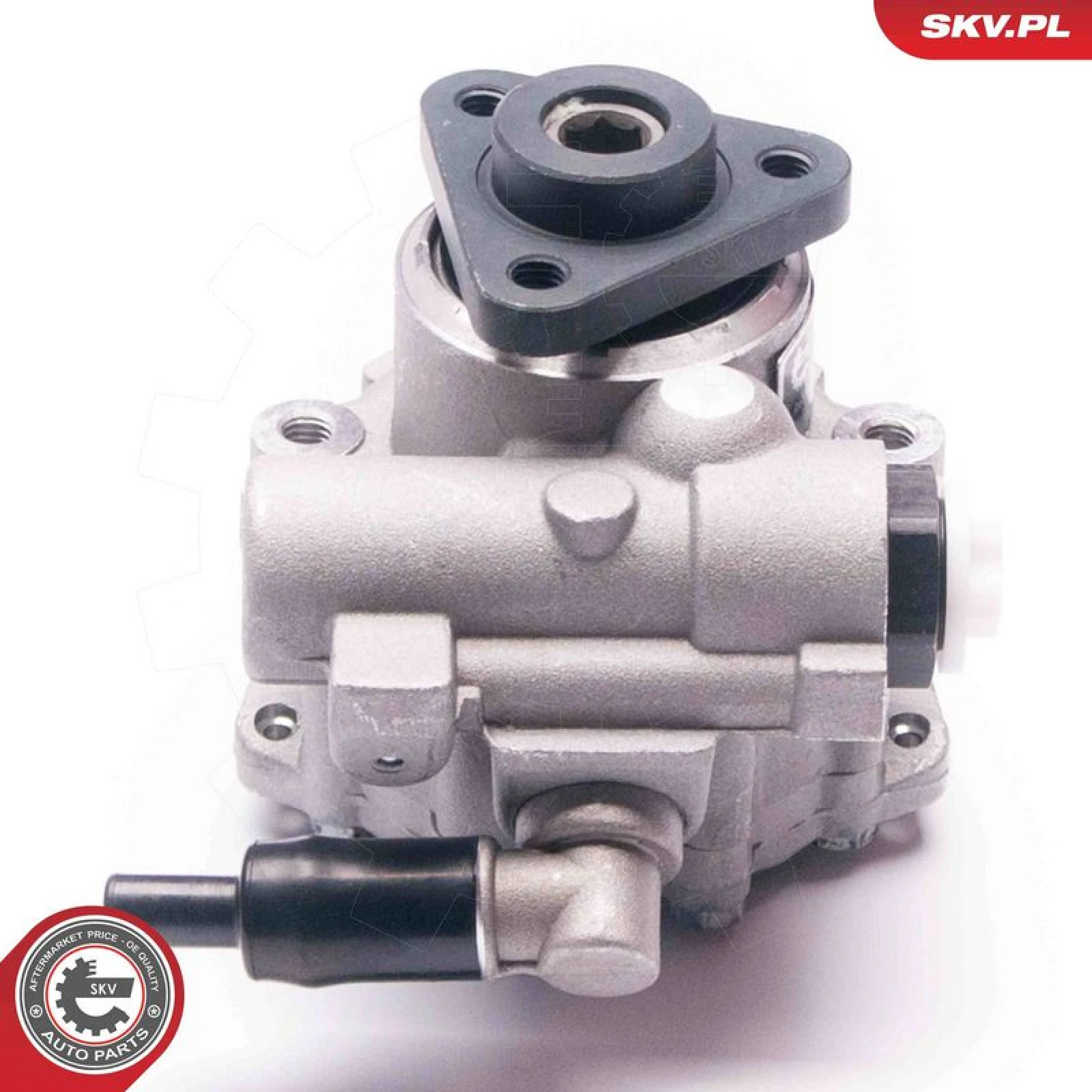 SKV GERMANY Hydraulikpumpe 10SKV224
