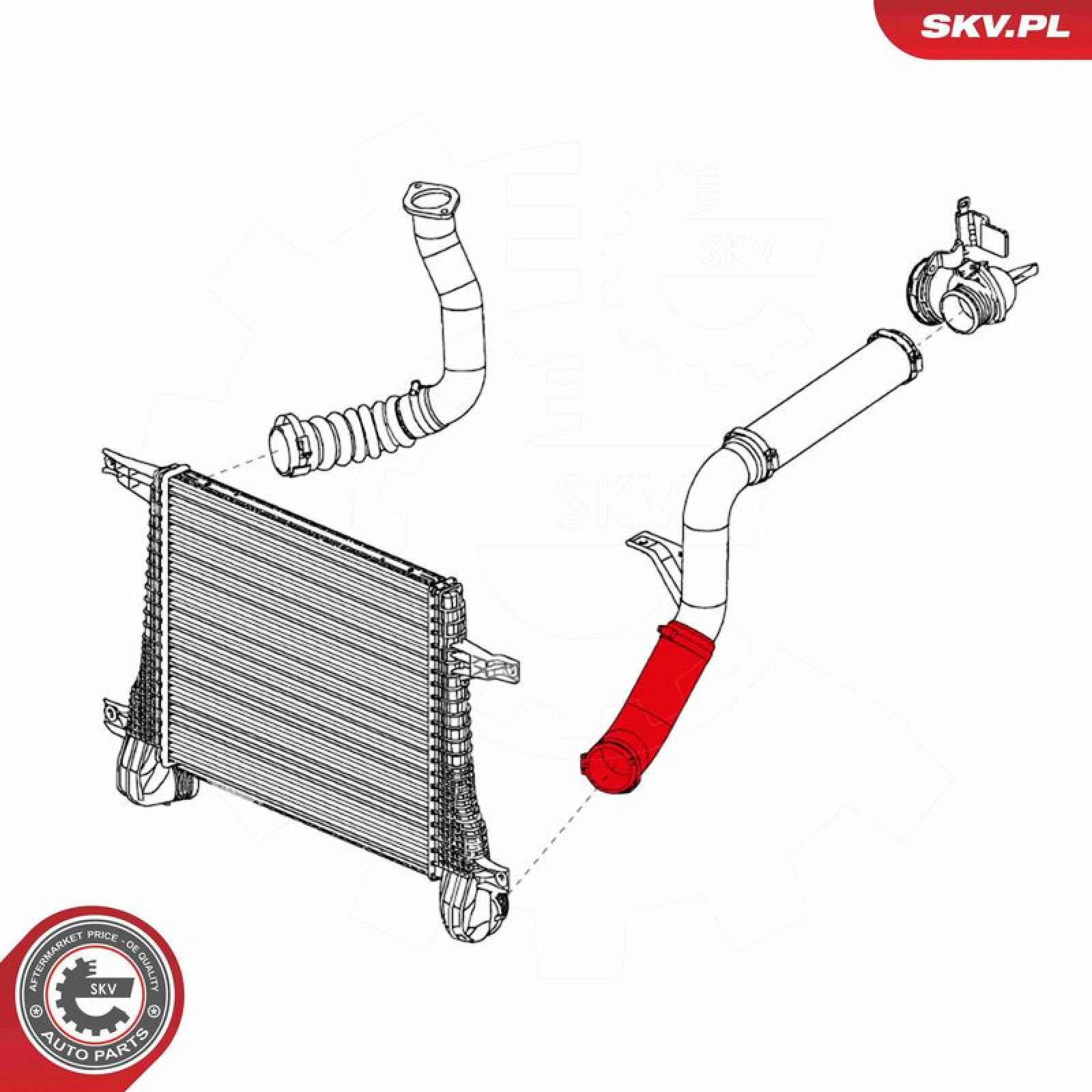 SKV GERMANY Luftschlauch 24SKV936