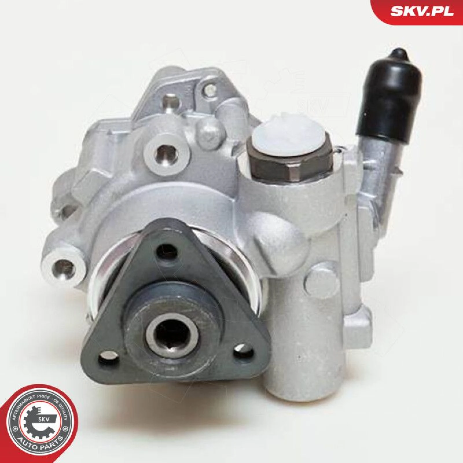 SKV GERMANY Hydraulikpumpe 10SKV048