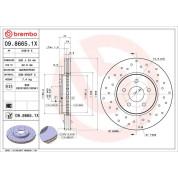 Bremsscheibe VA Xtra | FORD Mondeo JAGUAR X-Type 00-09 | 09.8665.1X