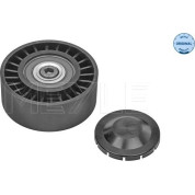 Umlenk-/Führungsrolle, Keilrippenriemen | 314 009 0008