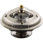 Thermostat, Kühlmittel | 17898