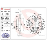 13 482 032 Bremsscheibe HA | PORSCHE 911 95 | 09.6665.11