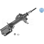 Stoßdämpfer | 266230002