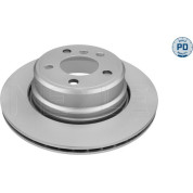 11 482 046PD Bremsscheibe HA Platinum | BMW X5 02 | 315 523 0055/PD