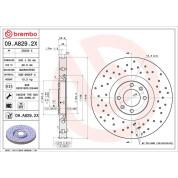Bremsscheibe VA Xtra | CITROEN, PEUGEOT 308 10 | 09.A829.2X