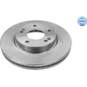 Bremsscheibe Hyundai P. Santa | 37-15 521 0010
