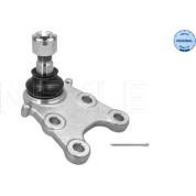 81 303 003 Traggelenk unten li/re | ISUZU Trooper,OPEL Frontera 2WD | 42-16 010 0010