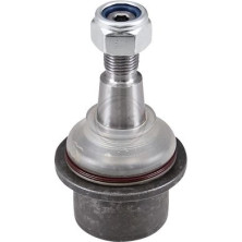 A.B.S. Schulterklopfen 220263