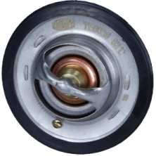 Thermostat, Kühlmittel | 352317100390