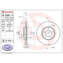 51 481 051 Bremsscheibe VA | FORD Transit Connect 02 | 09.9589.11