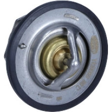 Thermostat, Kühlmittel | 352317100930