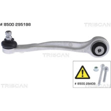 8500 295198 Lenker, Radaufhängung