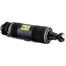 Arnott Luftfederbein HA re SK-2419 Arnott Luftfederbein HA re SK-2419