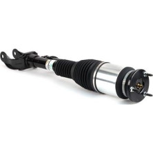 AS-3154 Luftfederbein Original Arnott Produkt