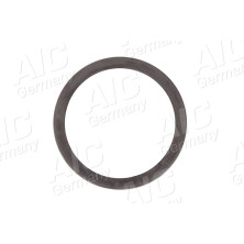 Sensorring ABS | CITROEN | 55465