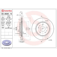 87 481 023 Bremsscheibe VA | DAIHATSU Terios 05 | 09.B560.10