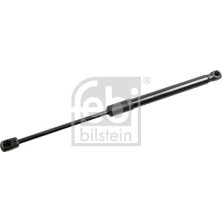 Gasfeder, Koffer-/Laderaum | 31679 Gasfeder, Koffer-/Laderaum | 31679