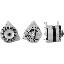219.104.552 12V.Lima | AUSTIN,FOR,MG,REN,ROV 65-98 | 219104552