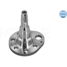 17 325 017 Achsschenkel HA li | AUDI,SEAT,SKODA,VW | 1005010037