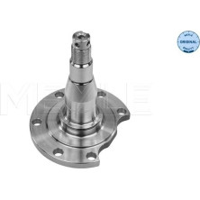 17 325 014 Achsschenkel HA | AUDI,VW 76 | 1005010031
