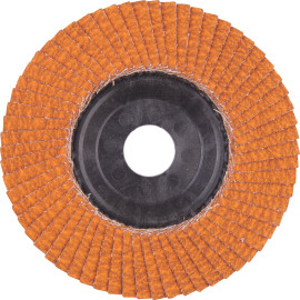 Fächerschleifscheibe 125mm 4932472233