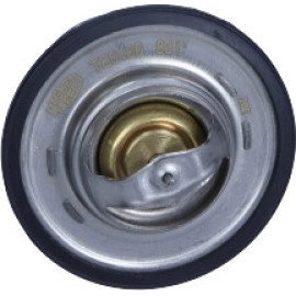 Thermostat, Kühlmittel 352317101000