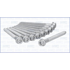 Zylinderkopfschraubensatz 81001000