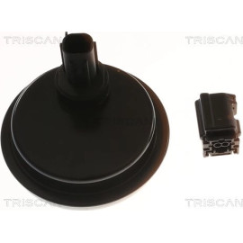 Sensor, Raddrehzahl 818013202