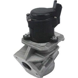Magneti Marelli AGR-Ventil 571822112029