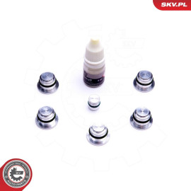 ESEN SKV Reparatursatz, Saugrohrmodul 49SKV533