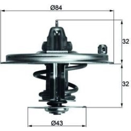 Thermostateinsatz mit Dichtung TX 36 85D