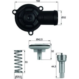 Integralthermostat mit Dichtung TI 220 87D