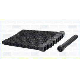 Zylinderkopfschraubensatz 81017200