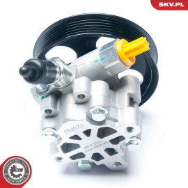 SKV GERMANY Hydraulikpumpe 10SKV195