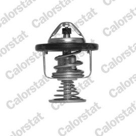 Thermostat, Kühlmittel TH6876.80J