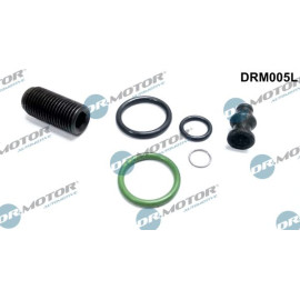 Reparatursatz, Pumpedüse Einheit DRM005L