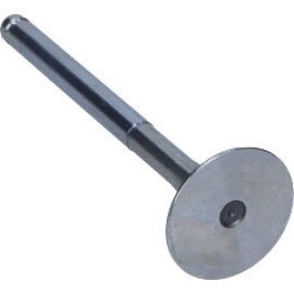 Auslassventil R4724/RCR