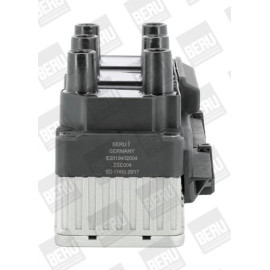 BorgWarner (BERU) Zündspule ZSE004