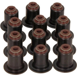 Dichtungssatz Ventilschaft 12-36866-01