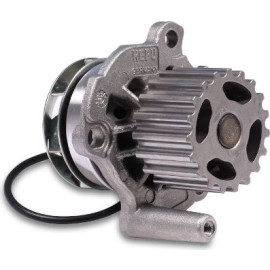 HEPU Wasserpumpe P551