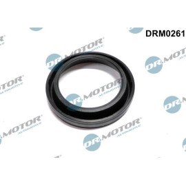 DR.MOTOR Dichtungssatz Einspritzdüse DRM0261
